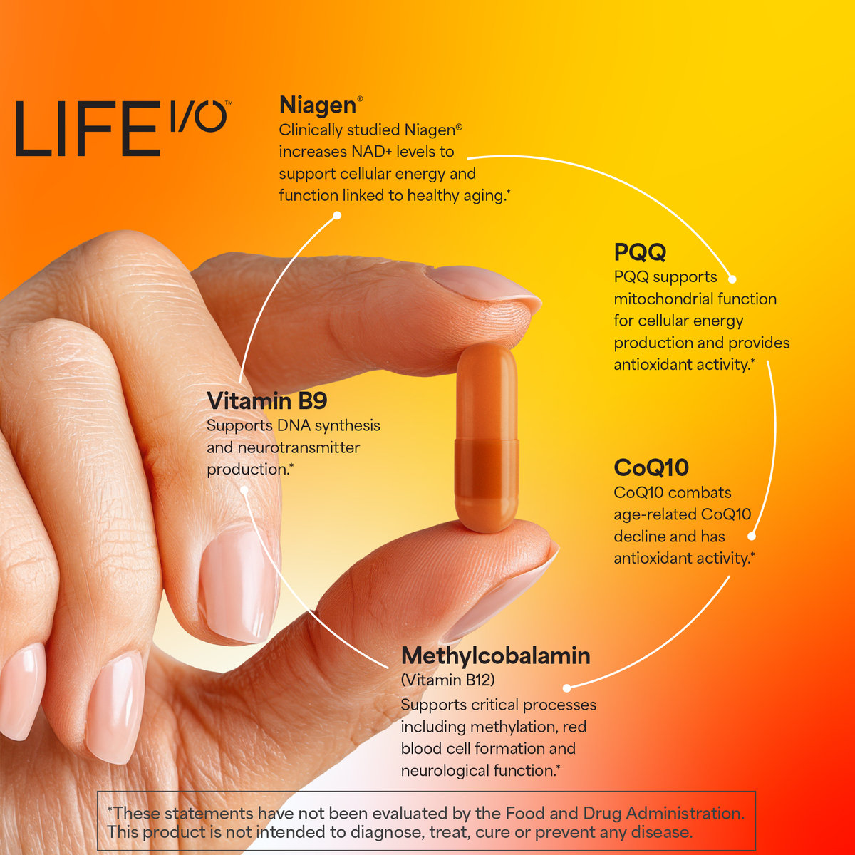 Life I/O Baseline Kit