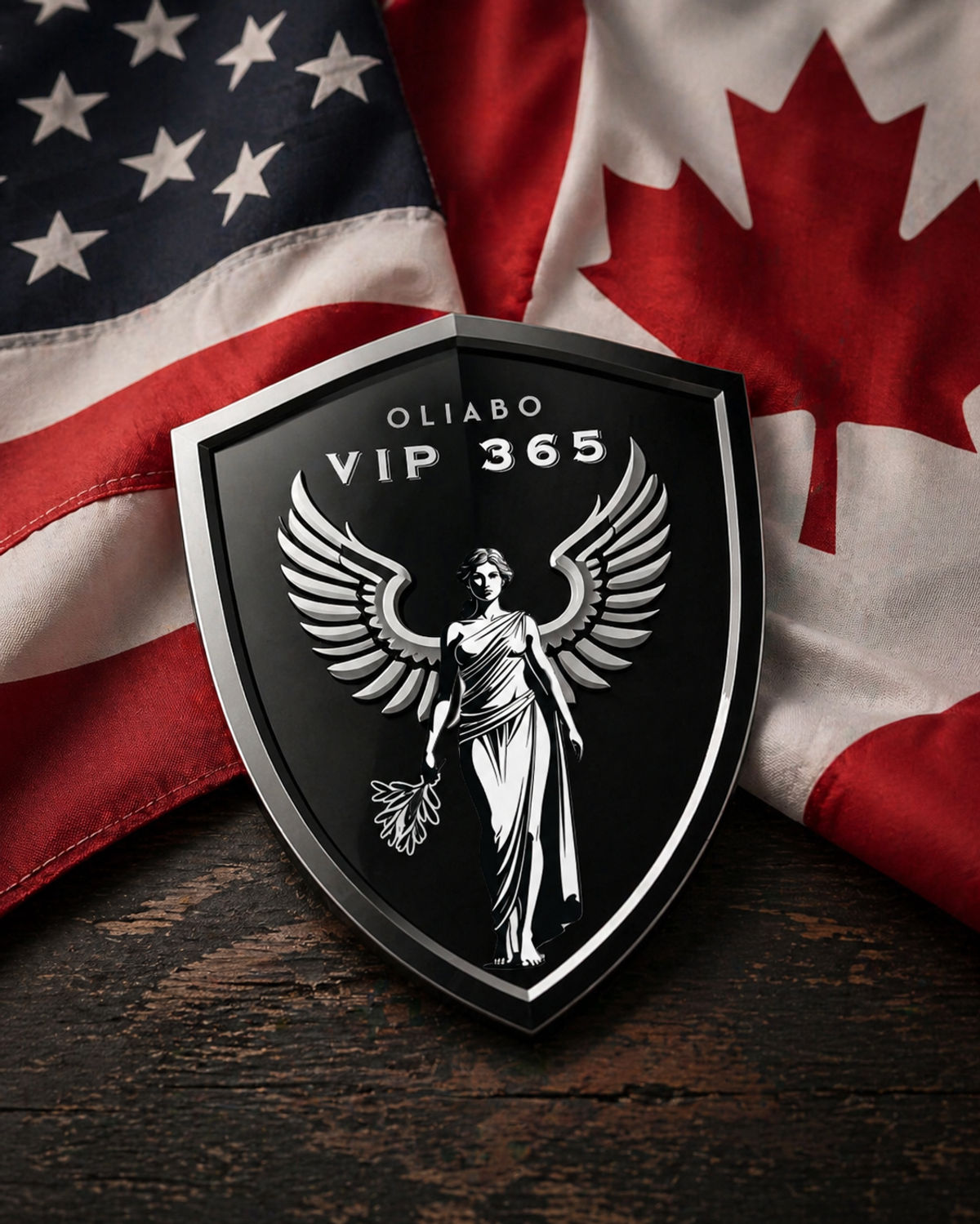 VIP 365 Access — image 1