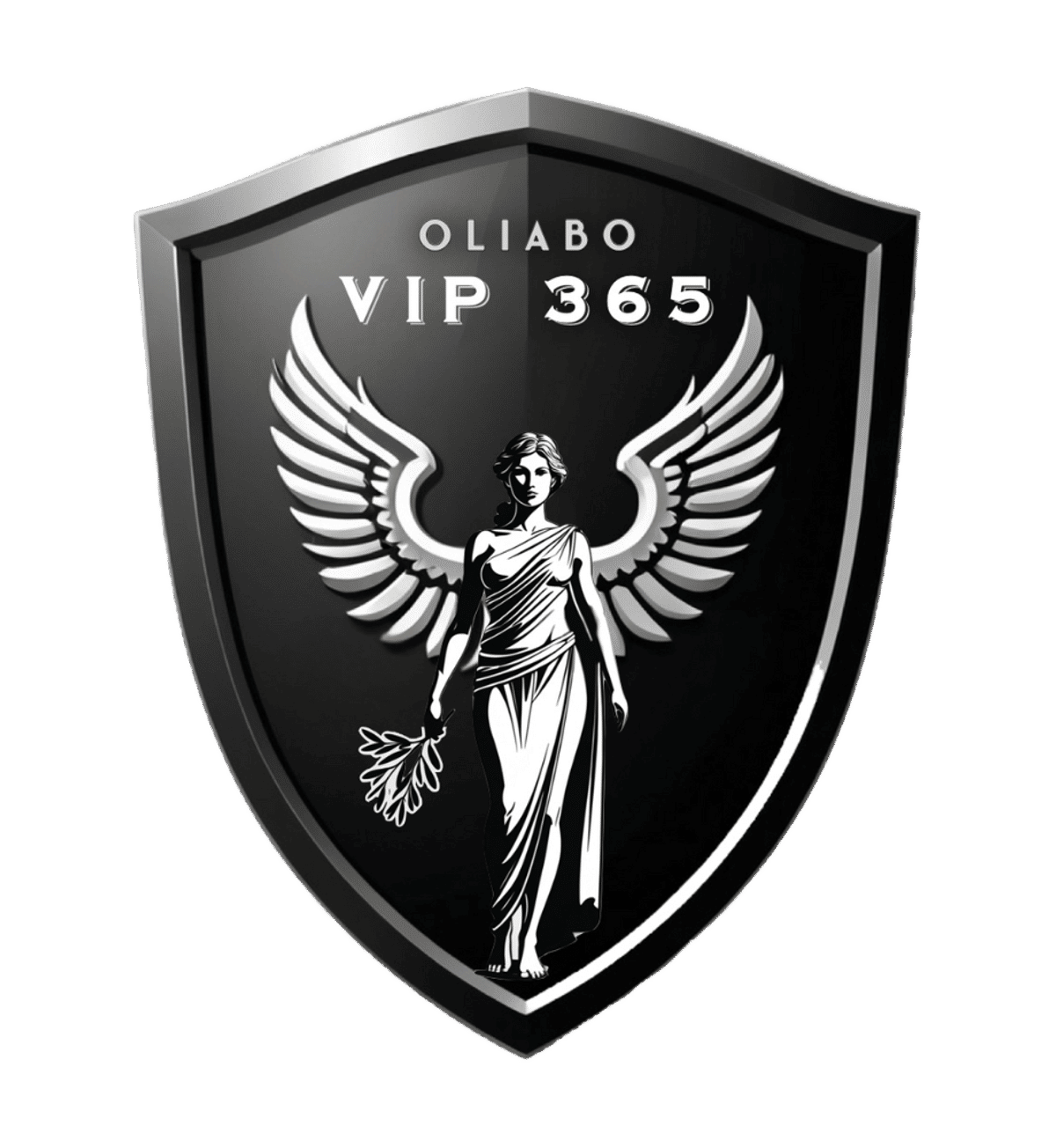 VIP 365 Access — image 2