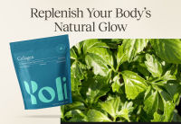 Collagen