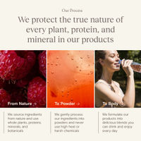 Caffeine Free - Fun Raspberry