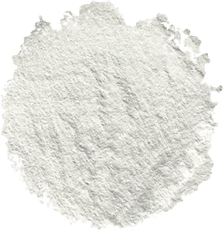 CLA (Conjugated Linoleic Acid)