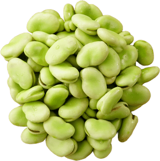 Fava Beans