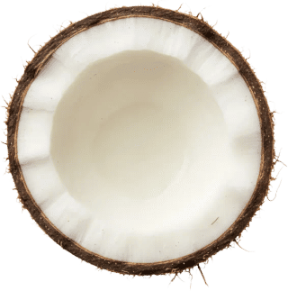 Coconut water powder