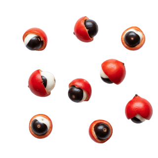 Guarana Extract