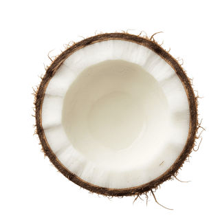 Coconut Water Powder