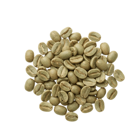Whole Coffee Fruit Extract