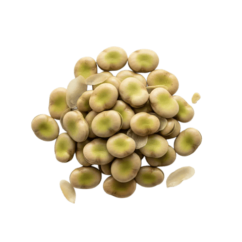 Fava Beans