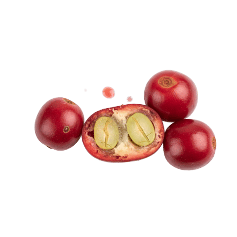 Sensoril® Ashwagandha