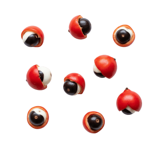 Guarana Extract