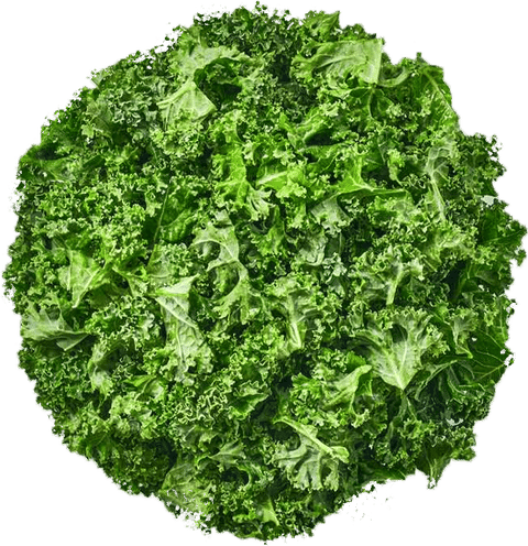 Ingredient
