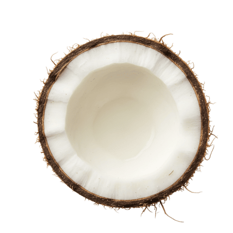 Coconut water powder