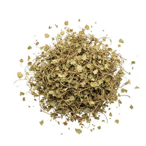 Bacopa Monnieri Extract