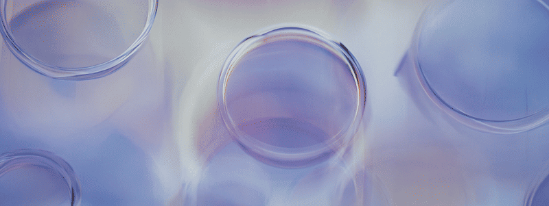 Yeast Peptide