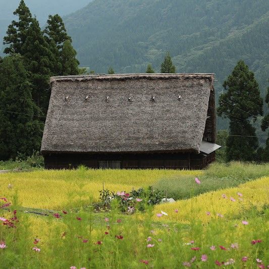 Farm & Merchant Houses