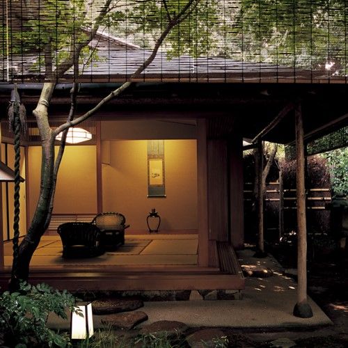 Tea Ceremony Elegance 