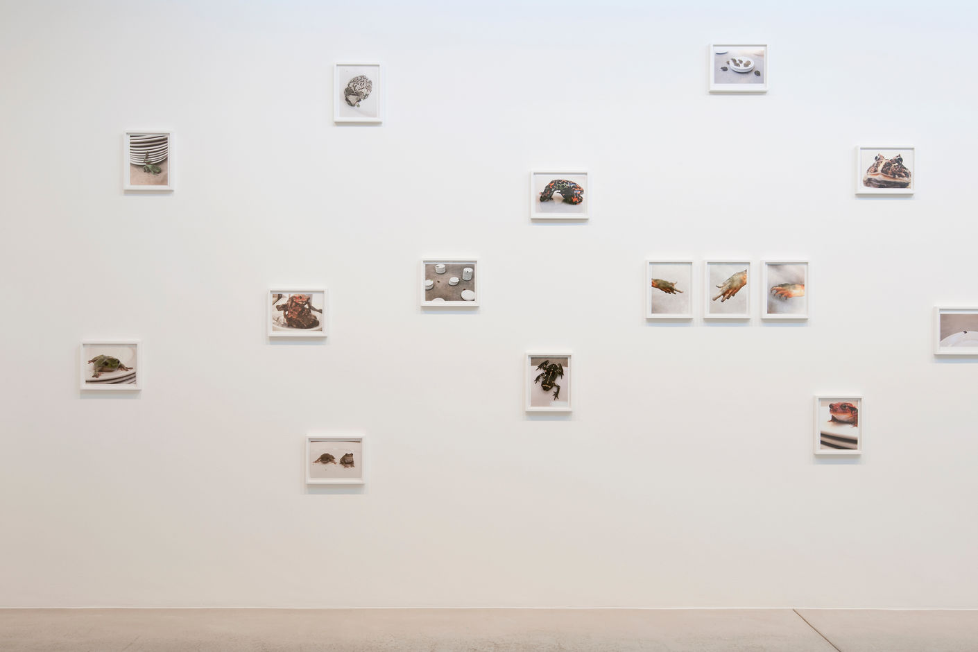 <div>© Fotomuseum Winterthur / Benedikt Redmann</div>