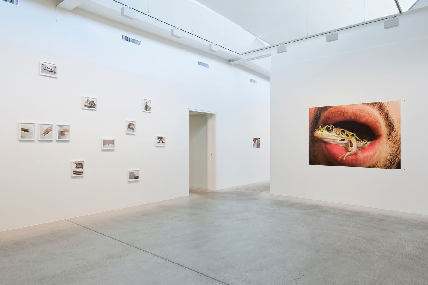 <div>© Fotomuseum Winterthur / Benedikt Redmann</div>