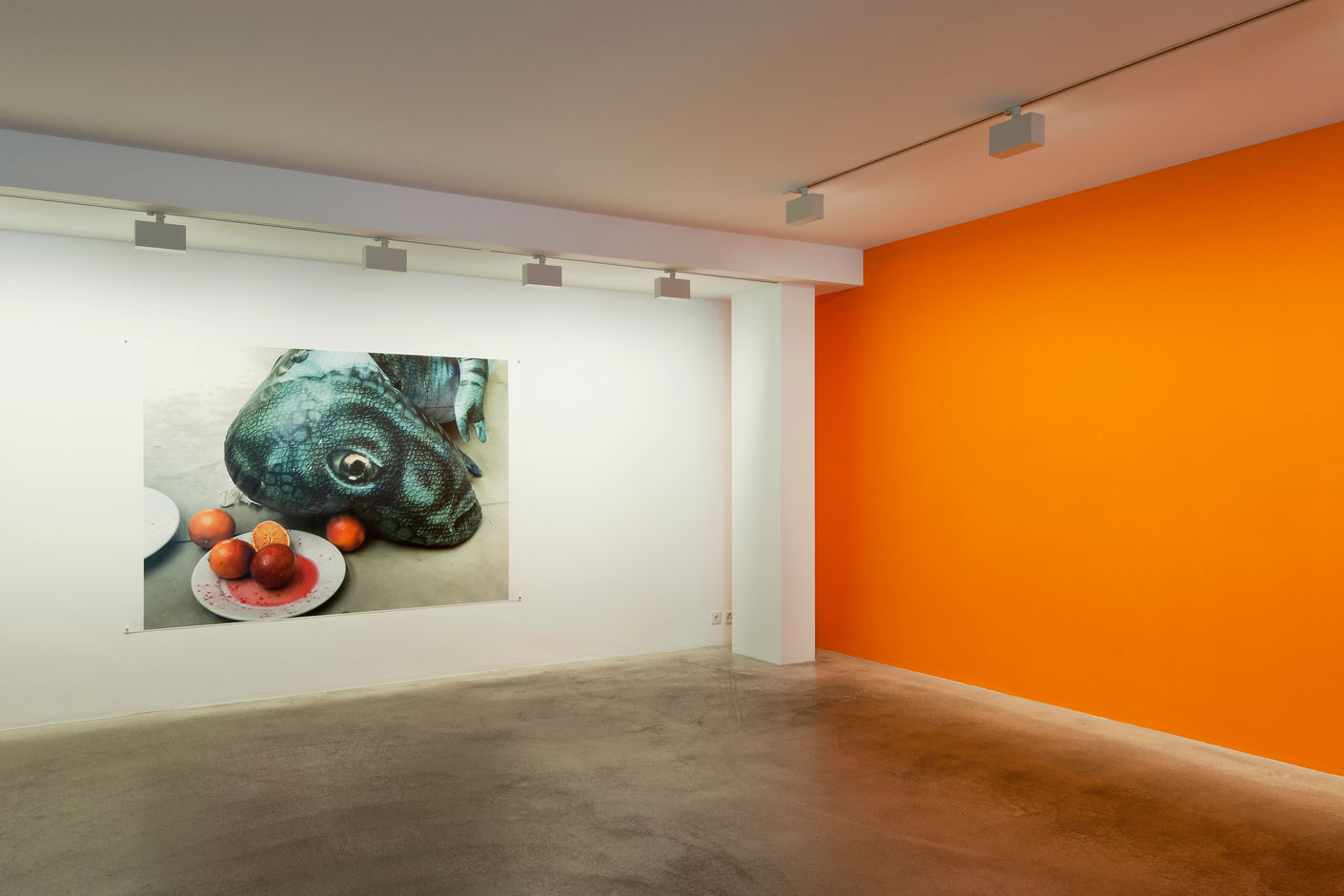 <div>© Fotomuseum Winterthur / Benedikt Redmann</div>