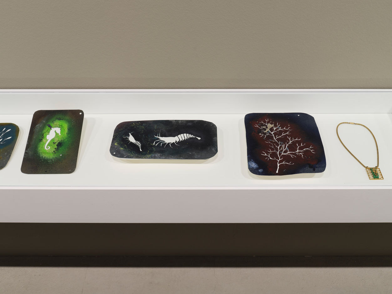 <div>Installation view <em>Jean Painlevé – Feet in the Water</em>, Fotomuseum Winterthur © Fotomuseum Winterthur / Conradin Frei</div>