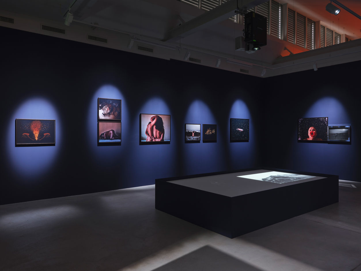 <div>Fotomuseum Winterthur / Conradin Frei</div>