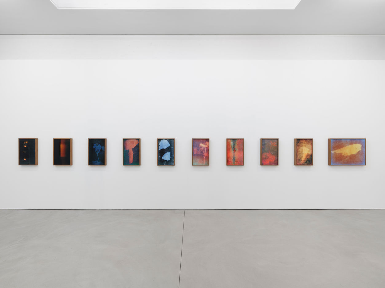 <div>© Fotomuseum Winterthur / Conradin Frei</div>