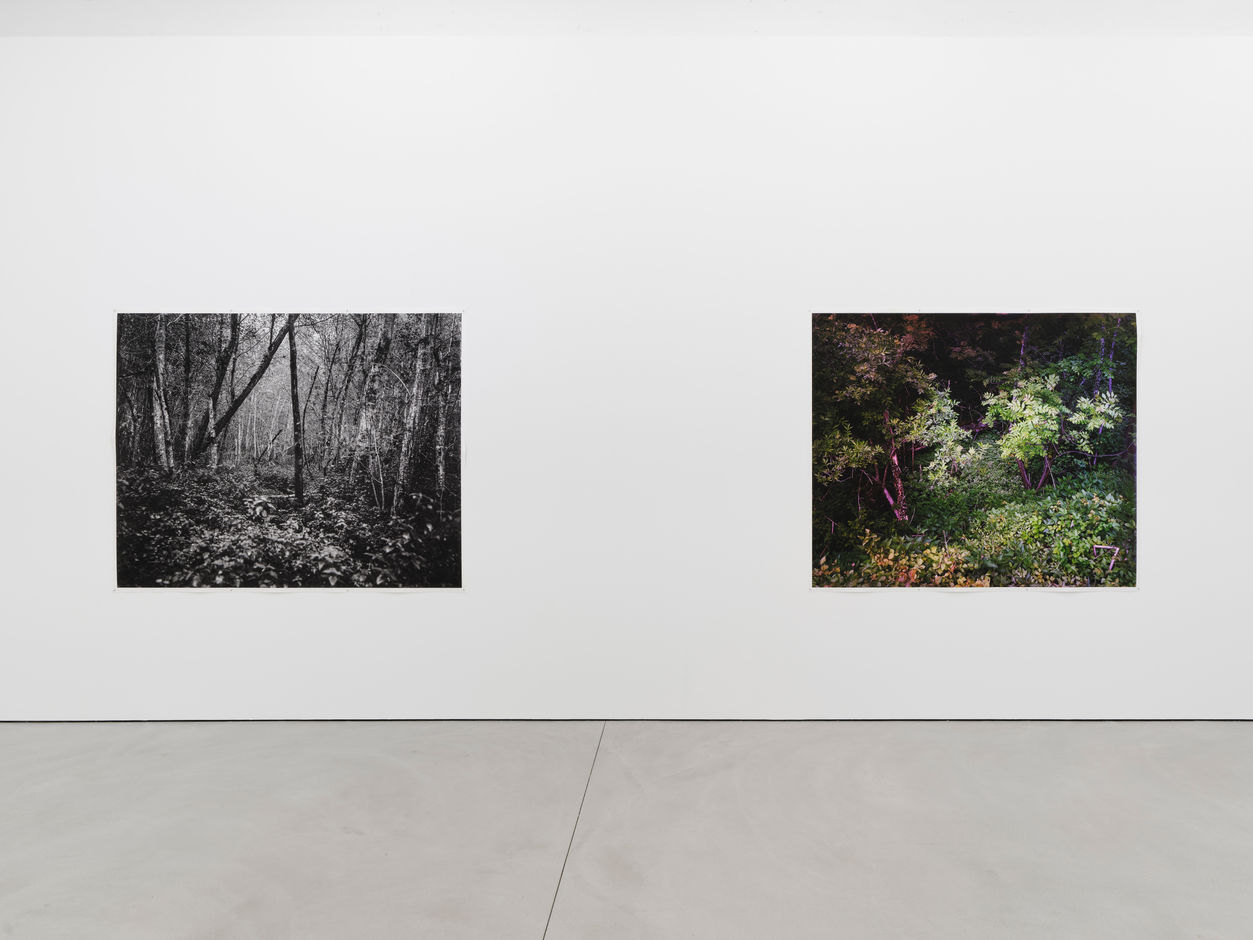 <div>© Fotomuseum Winterthur / Conradin Frei</div>