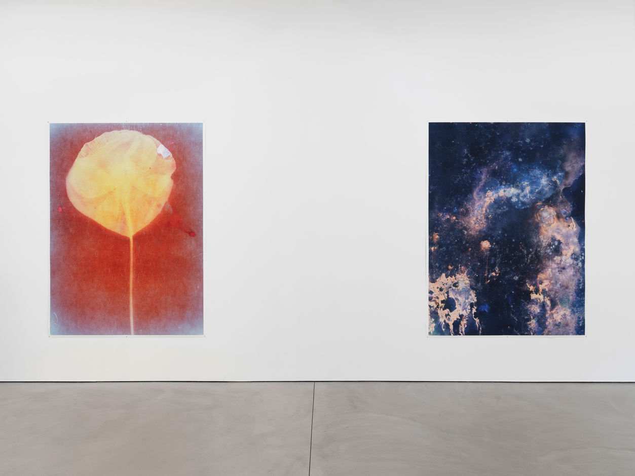 <div>© Fotomuseum Winterthur / Conradin Frei</div>