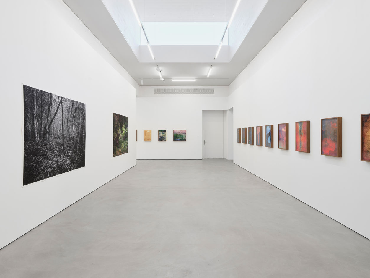 <div>© Fotomuseum Winterthur / Conradin Frei</div>