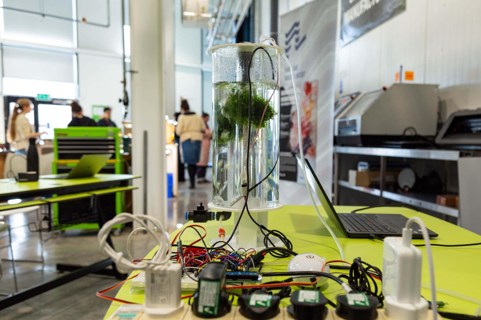 Biomaterials live algae workshop in Fab Lab South West at Arts University Plymouth