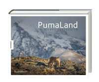 PumaLand In wild Patagonia