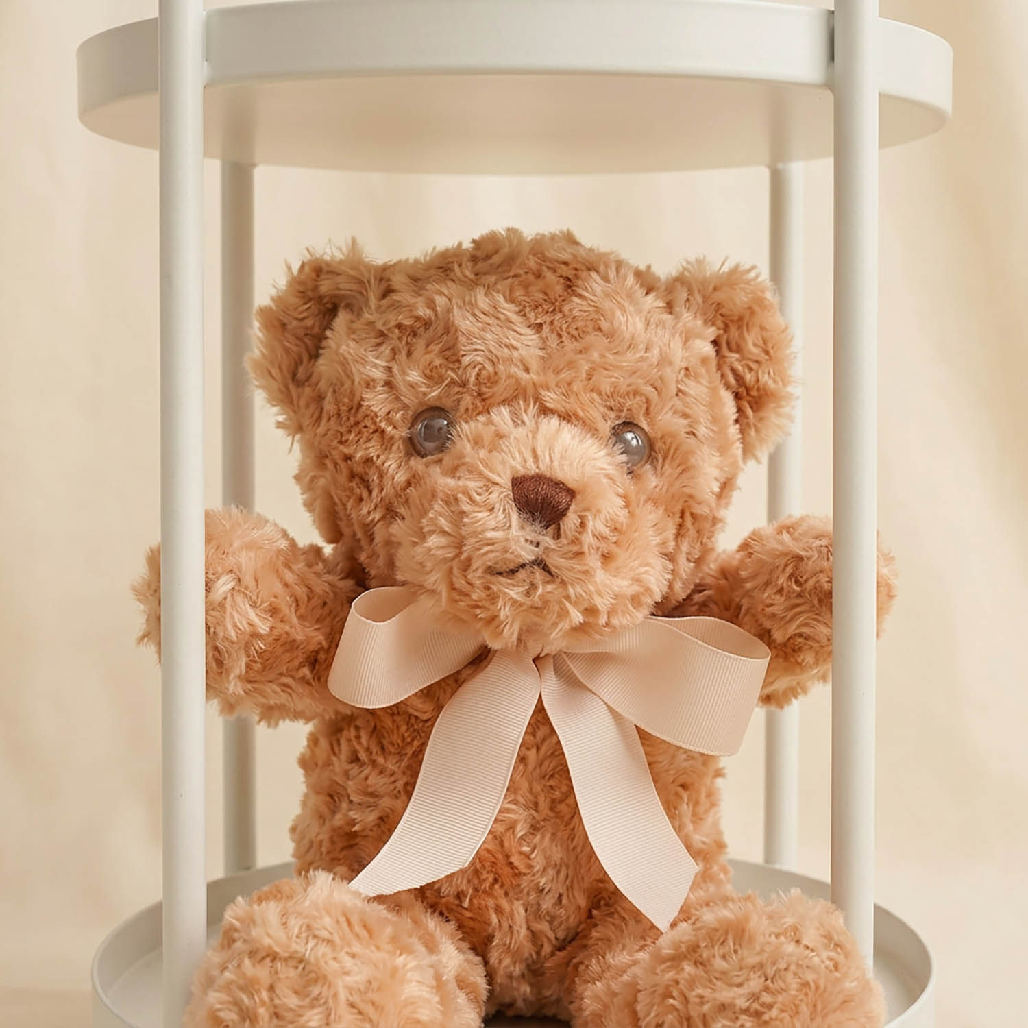 Blooming Rose Stand n Teddy Bear Combo 
