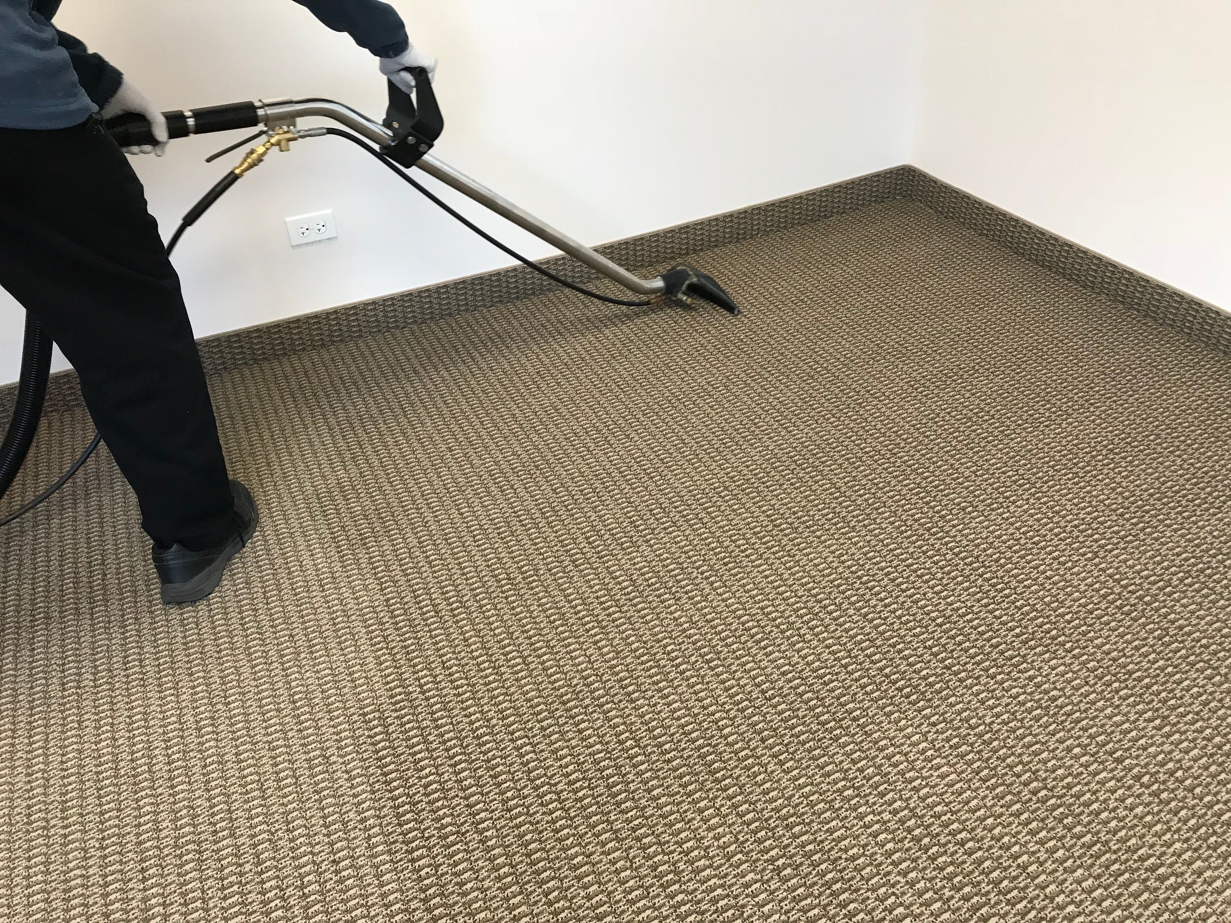 Commercial carpet cleaning service