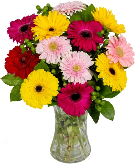 Simply Gerberas flower arrangement