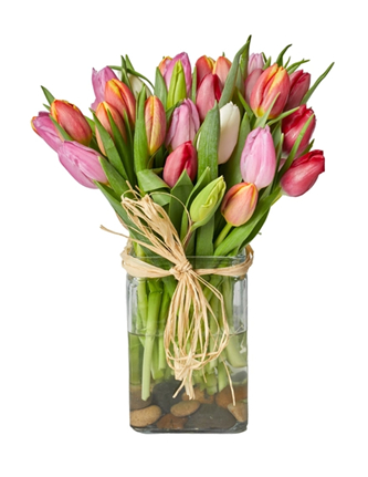 spring toolips arrangement