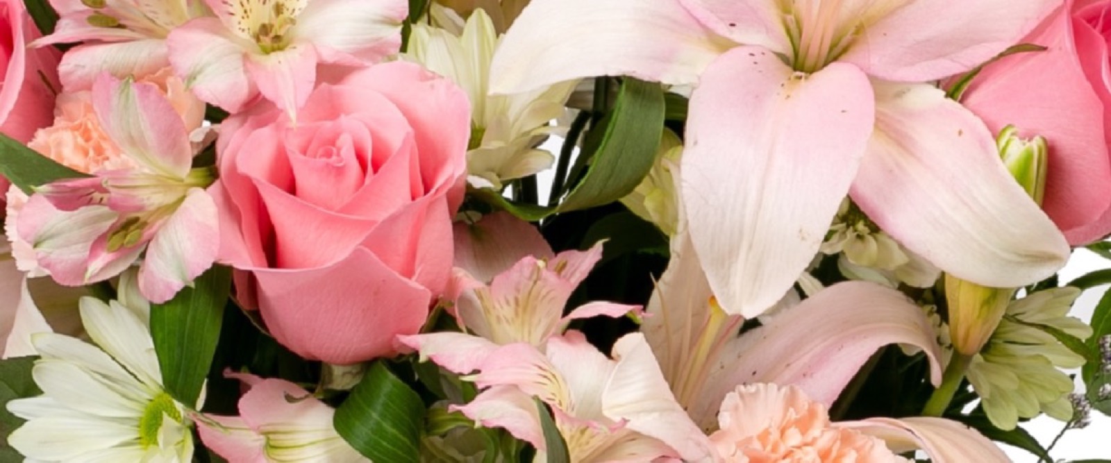 Lilies