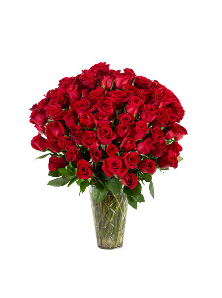 Two Dozen Red Rose Bouquet  Voted Oakville's #1 Florist – FIORI Oakville