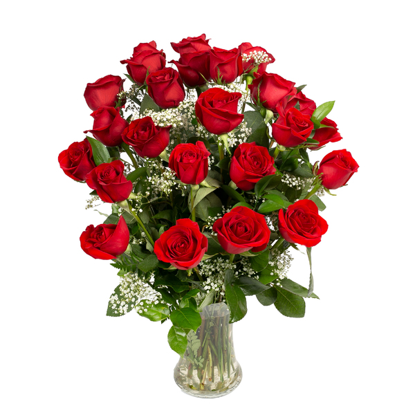 Two Dozen Red Roses