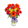 A Burst of Colourful Orange Gerberas and Yellow Daisies