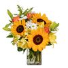 Sunflower Celebration with Happy Sunflowers, Orange Roses, Yellow Alstroemerias, White Mums and Yellow Asiatic Lilies