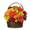 Bountiful Blooms of Orange Gerberas, Red Carnations, Red and Orange Roses, Yellow Daisies in a Brown Wooden Basket