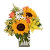 Sunflower Celebration with Happy Sunflowers, Orange Roses, Yellow Alstroemerias, White Mums and Yellow Asiatic Lilies