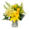 Sunshine Surprise - Floral Arrangement