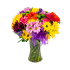 Gorgeous Gem Tones - Floral Arrangement