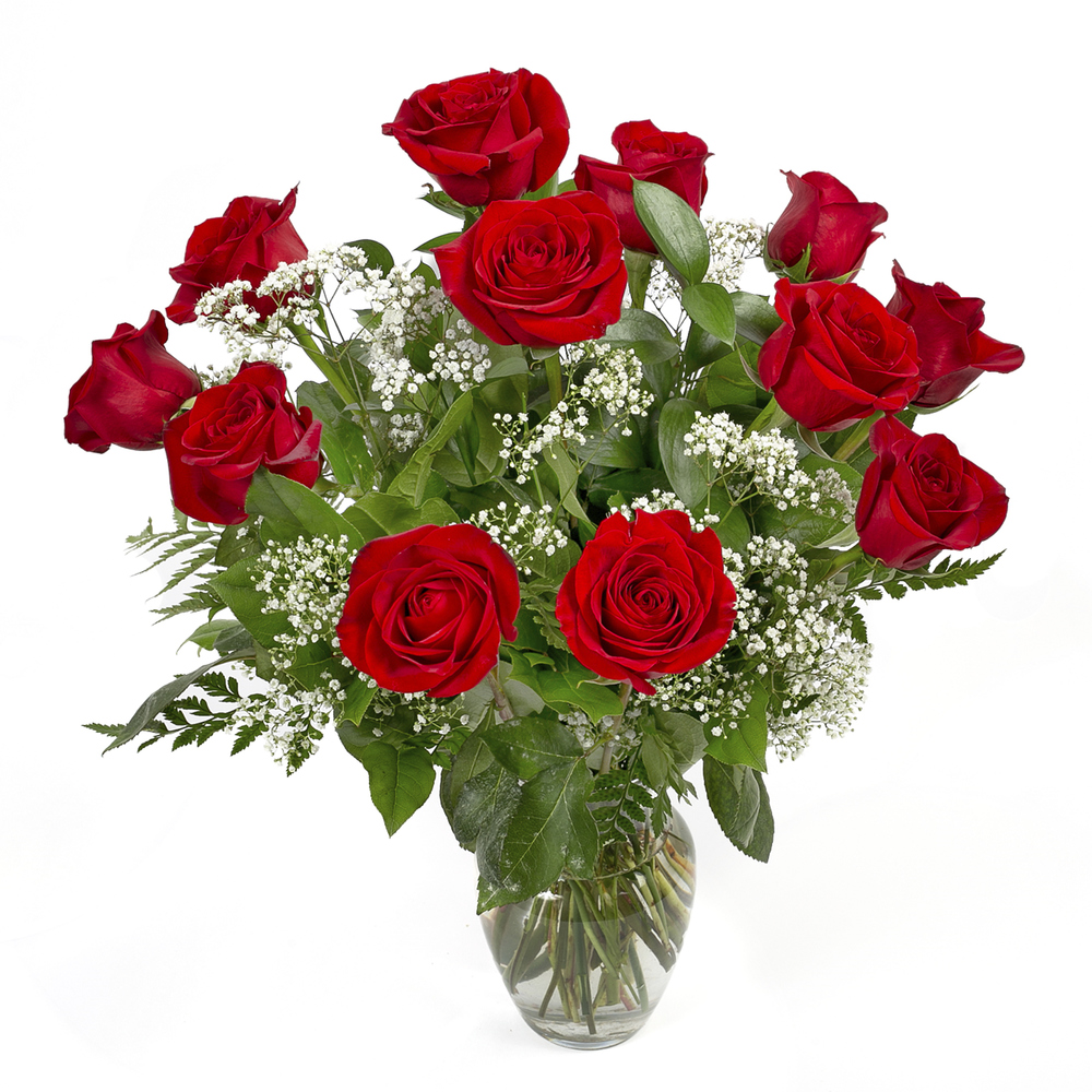 One Dozen Red Roses