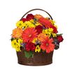 Bountiful Blooms of Orange Gerberas, Red Carnations, Red and Orange Roses, Yellow Daisies in a Brown Wooden Basket