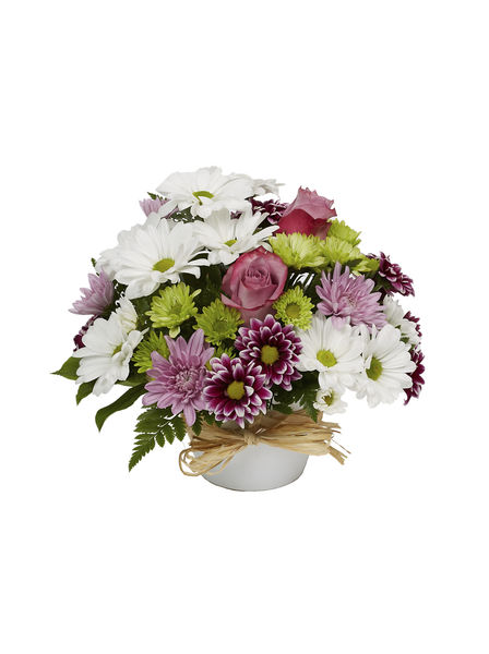 Forest Of Flowers Same Day Flower Delivery In Oakville Oakville Florist Forest Of Flowers Oakville