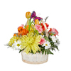 Spring Delight Basket