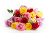 24 Stunning Colourful Roses Wrapped