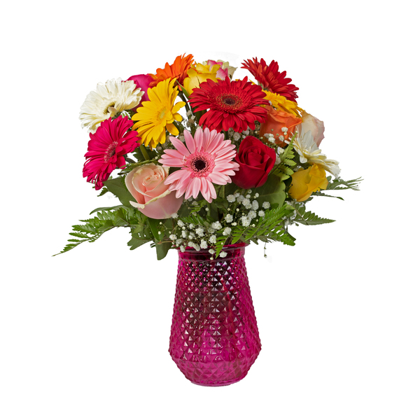 Stunning Gerbera Daisies and Roses